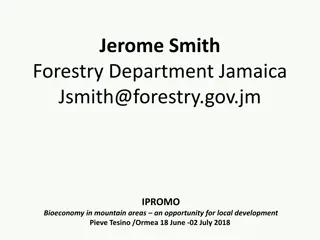 Jerome Smith - Forest Department Director Promoting Bioeconomy in Mountain Areas