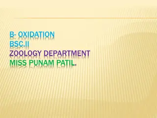 Fatty Acid Oxidation in Zoology Department with Miss Punam Patil