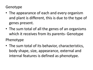 Understanding Genotype and Phenotype: The Genetic Basis of Organism Variation