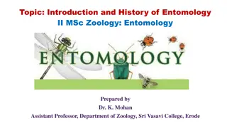 Evolution of Entomology in India: A Historical Perspective