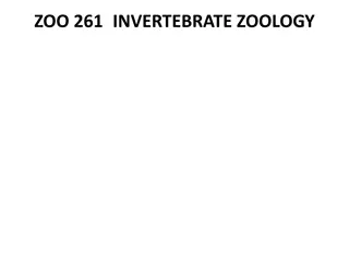 Exploring the World of Invertebrate Zoology: Phylum Nematoda and Its Classes