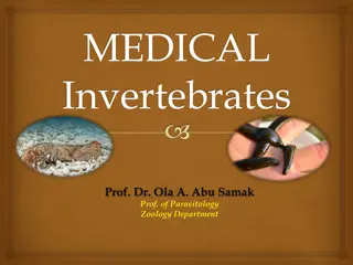 Medical Invertebrates Course Overview