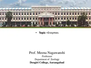 Enzymes and Restriction Enzymes in Molecular Biology