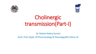 Cholinergic Transmission in Neurohumoral Signaling