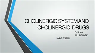 The Cholinergic System and Cholinergic Drugs