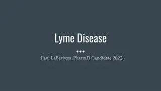 Lyme Disease: Symptoms, Diagnosis, and Treatment Options