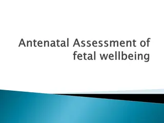 Antenatal Assessment for Fetal Health Monitoring