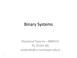 Binary and Numeric Systems in Computing