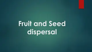 Plant Reproduction: Pollination and Seed Dispersal Mechanisms