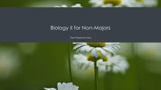 Plant Reproduction and Life Cycles in Biology II for Non-Majors