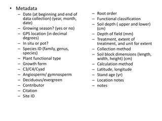 Root Morphology and Chemistry Data Collection in Plant Study