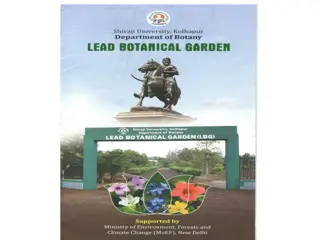 Overview of Lead Botanical Garden: History, Sections, Events, and Herbarium