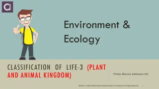 Classification of Algae, Economic, and Ecological Significance, Bryophytes Overview