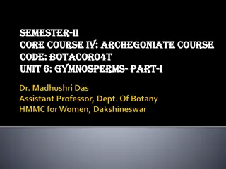 Morphology and Adaptations of Gymnosperms