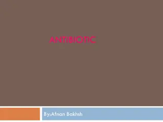 Antibiotics: Types, Mechanisms, and Testing