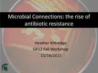 Understanding Antibiotic Resistance: A Comprehensive Overview