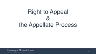 Right to Appeal and Appellate Process in Judicial Proceedings