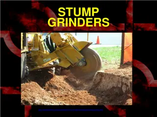 All You Need to Know About Stump Grinders