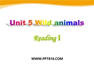 Discovering Wild Animals: A Journey Through Fascinating Creatures