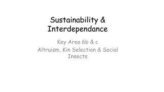 Altruism, Kin Selection, and Social Insects in Sustainability