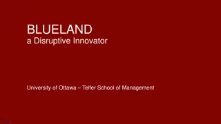 Strategic Growth Recommendations for Blueland by Telfer Consulting