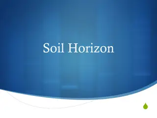 Soil Horizons and Layers in Detail