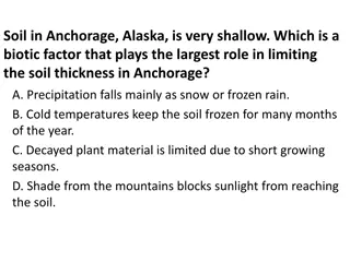 Soil Characteristics and Ecosystem Interactions