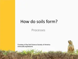 Soil Formation Processes and Changes Over Time