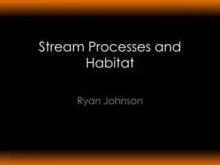 Understanding Watershed Processes and Habitat Impact