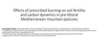 Impacts of Prescribed Burning on Soil Fertility in Mediterranean Pastures