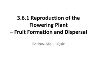 Reproduction of Flowering Plants: Seed Development and Endospermic Seeds