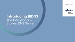 Unveiling IBDNS: The Intentionally Broken DNS Server