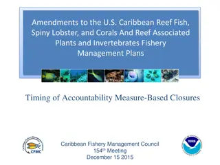 Amendments to U.S. Caribbean Fisheries Management Plans - December 2015