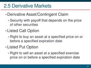 Derivative Markets and Investment Options