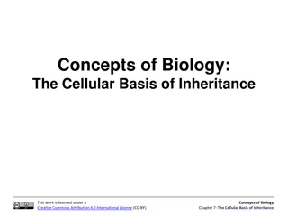 The Cellular Basis of Inheritance in Biology