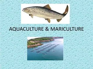 Aquaculture and Mariculture Practices