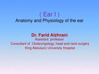 An In-depth Look at the Anatomy and Physiology of the Ear by Dr. Farid Alzhrani