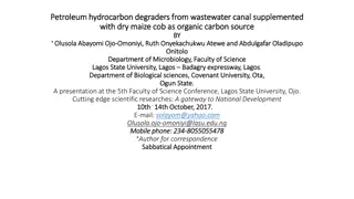 Evaluation of Petroleum Hydrocarbon Degraders in Wastewater Canal Supplemented with Organic Carbon Source