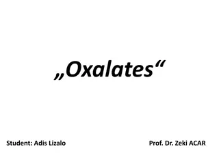 Understanding Oxalates: Sources, Health Impacts, and Foods to Watch Out For