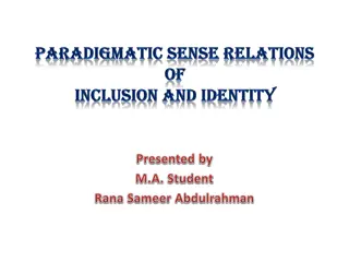 Sense Relations in Linguistics