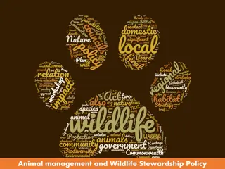 Comprehensive Animal Management and Wildlife Stewardship Policy Framework