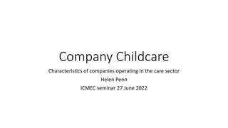 Characteristics of Companies in the Care Sector