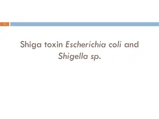 Understanding E. coli O157:H7 Outbreaks and Investigations