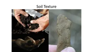 Soil Texture and Composition