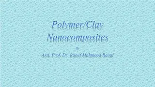 Advances in Polymer/Clay Nanocomposites