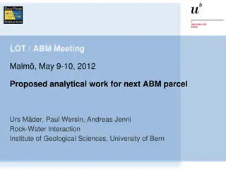 Analytical Work for Rock-Water Interaction at LOT/ABM Meeting