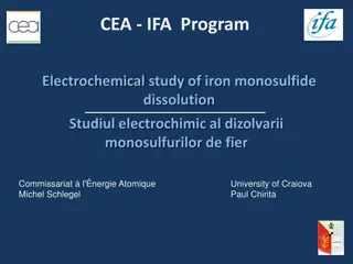 Study on Electrochemical Dissolution of Iron Monosulfide in Nuclear Waste Disposal