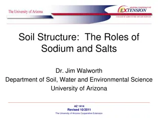 The Role of Sodium and Salts in Soil Structure