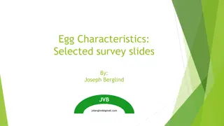 Insights on Premium Egg Consumers and Market Trends