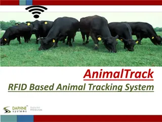 Efficient Animal Tracking with RFID Technology